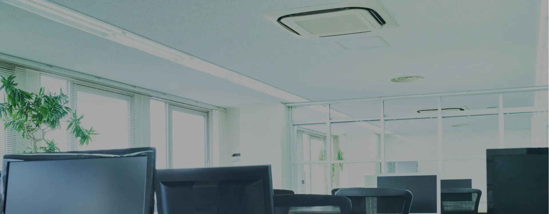 ジェーエーエム　株式会社