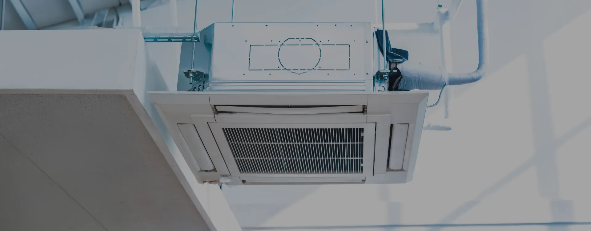 ジェーエーエム　株式会社